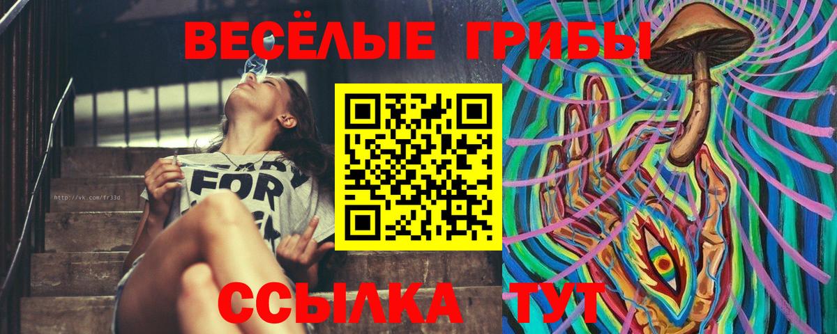 Алексин  Псилоцибиновые грибы Magic Shrooms  Вход с VPN 