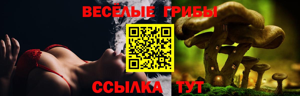 Галлюциногенные грибы Psilocybe Алексин